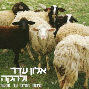 סיכום החיים עד עכשיו