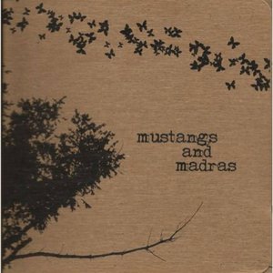 Mustangs And Madras