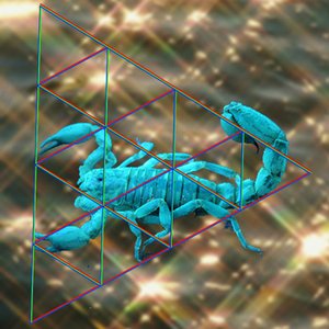 CHILLWAVE 的头像