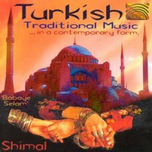 Turkish Traditional Music in a Contemporary Form