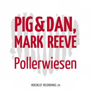 Pollerwiesen