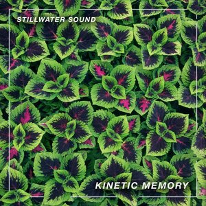 Kinetic Memory