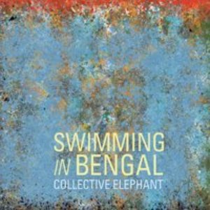 Collective Elephant