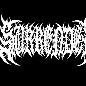 Surrender 的头像