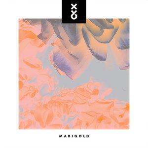 Marigold - Single