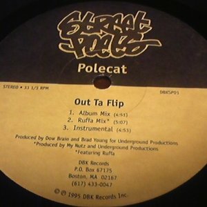 Polecat 的头像