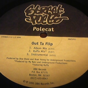 Polecat photo provided by Last.fm