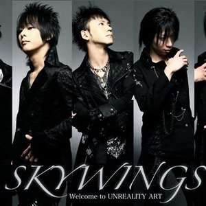 SKYWINGS のアバター