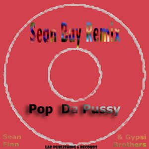 “Pop da Pussy - Sean Bay remix”的封面