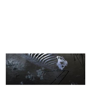 A Time Like - Single