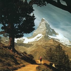 Felt Mountain (bonus disc)