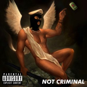Not Criminal