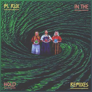 In the Hold (Remixes)