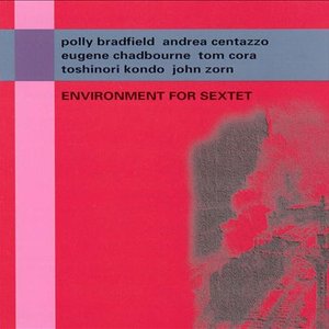 Avatar for Andrea Centazzo/Polly Bradfield/Eugene Chadbourne/Tom Cora/Toshinori Kondo/John Zorn