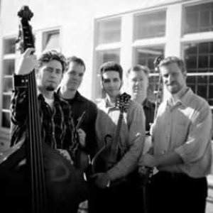 The Foggy Hogtown Boys 的头像