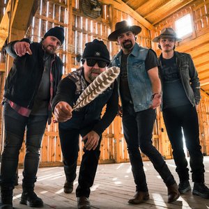 Davisson Brothers Band 的头像