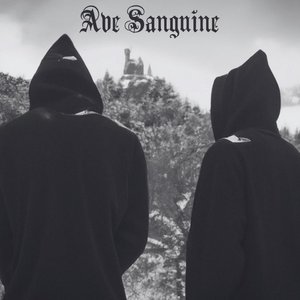 Ave Sanguine 的头像