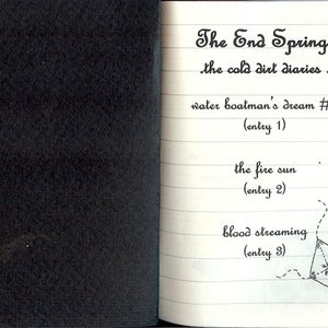The End Springs 的头像