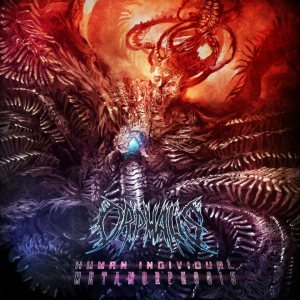 Intro cover