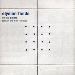 Image for 'Elysian Fields Meets DJ Cam'