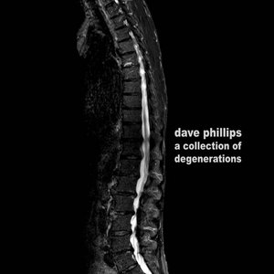 a collection of degenerations