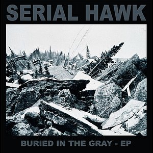 Buried in the Gray - EP