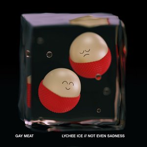 Lychee Ice // Not Even Sadness - EP