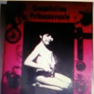 anastoria 的头像