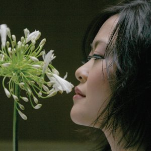 Yoko K. 的头像