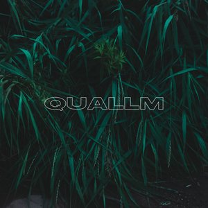 Quallm のアバター