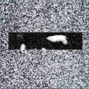Avatar für Chamber of Tapeworms