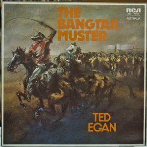 The Bangtail Muster