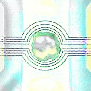 TRANS009