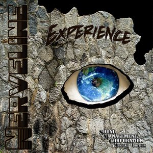 Experience