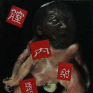膣内射精(仮)