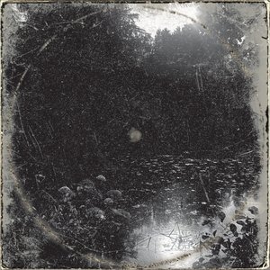 What This Is Like - Single