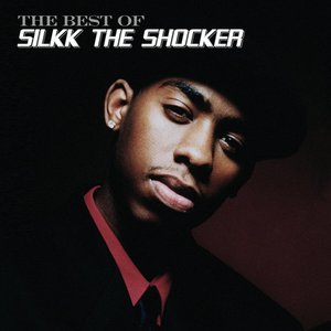 The Best of Silkk the Shocker