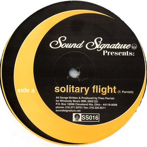 Solitary Flight