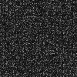 Transhispanic Noise Ensemble 的头像