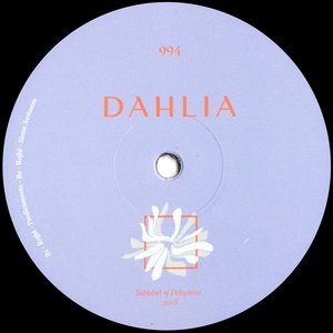 DAHLIA 994