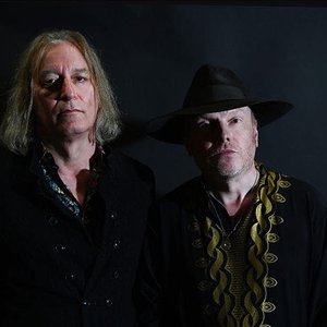 Image for 'Luke Haines & Peter Buck'