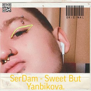 SerDam 的头像