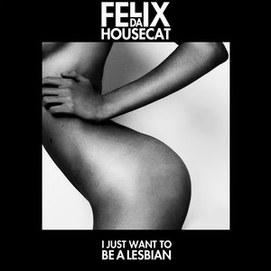 Felix Da Housecat feat. Romina Cohn 的头像