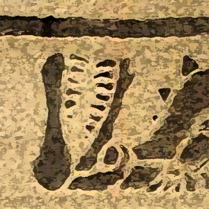 Avatar for Alligator [IRE]