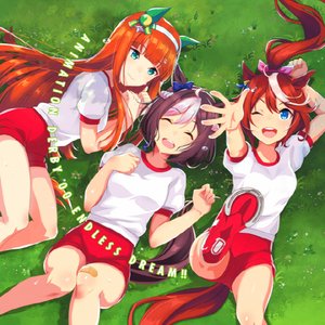 TVアニメ「ウマ娘 プリティーダービー」ANIMATION DERBY 00 ENDLESS DREAM!!