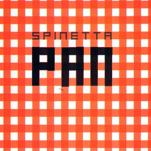 Pan cover