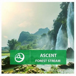 Forest Stream - Single