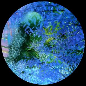 Wind - Single