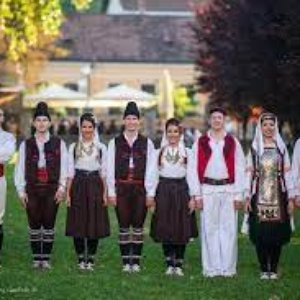 Branko Krsmanovic Group 的头像