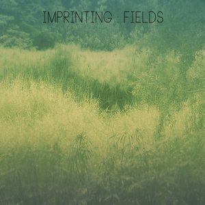 “Fields”的封面